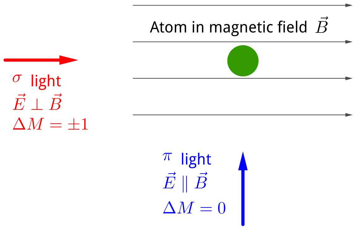 pi and sigma light